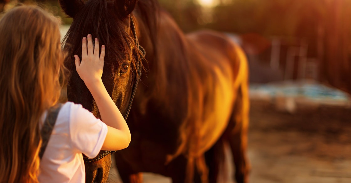 Does Equine Therapy Assist in Drug & Alcohol Rehabilitation