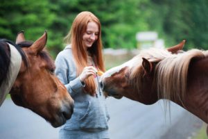 horses-are-used-at-Harmony-Grove-at-our-Adolescent-Outpatient-San-Diego-Program 