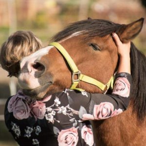 mental-health-treatment-San-diego-California-gets-benefits-from-equine-therapy