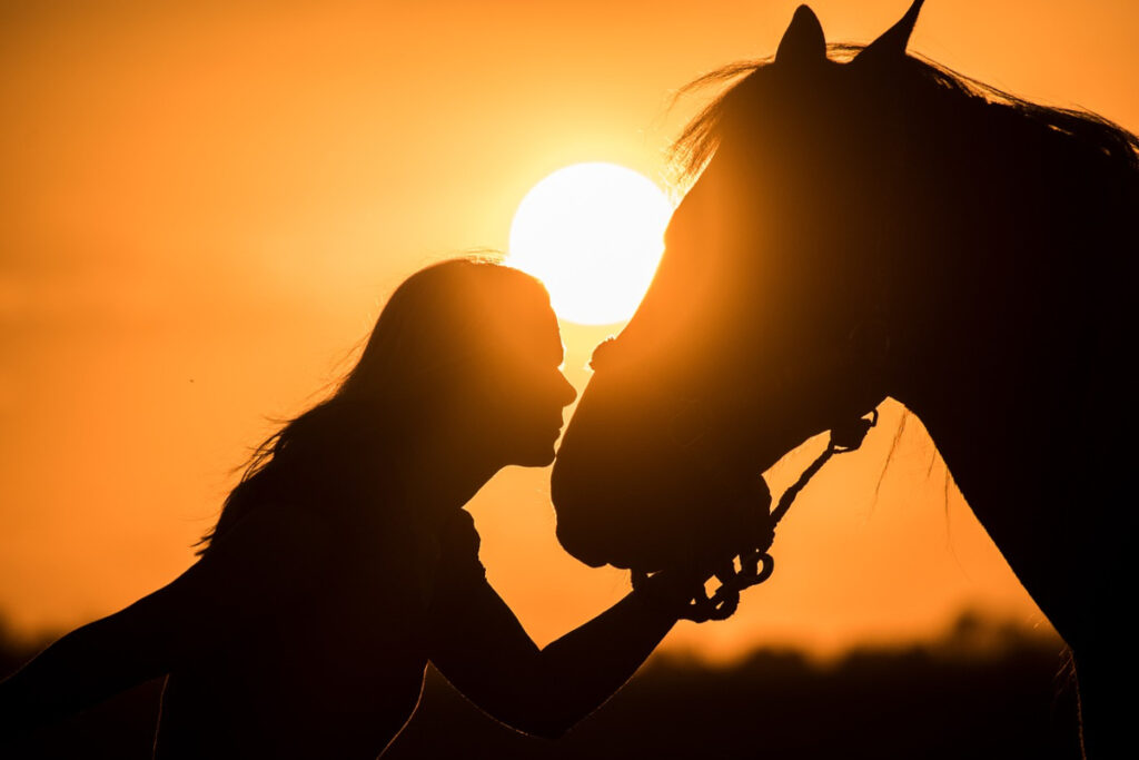 Why Equine Assisted Therapy Benefits Drug Rehab Treatment in San Diego